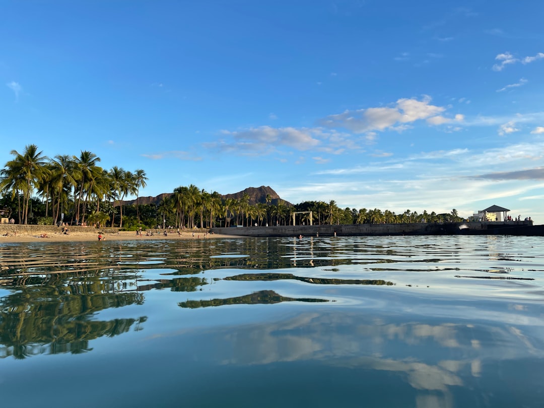 a body of water with palm trees in the background
